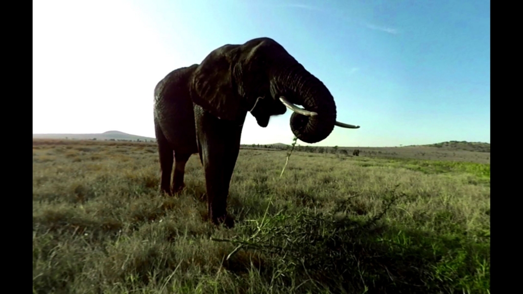 f:id:Hamasukei:20170314160413j:plain f:id:Hamasukei:20170314160413j:plain