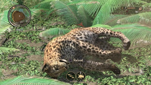 160103_Cabela's African Adventures_007