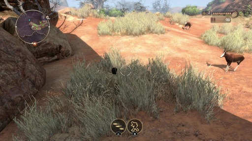 160103_Cabela's African Adventures_004