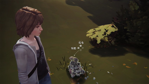 Life Is Strange_4-03