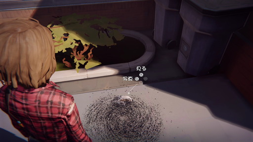Life Is Strange_3-09
