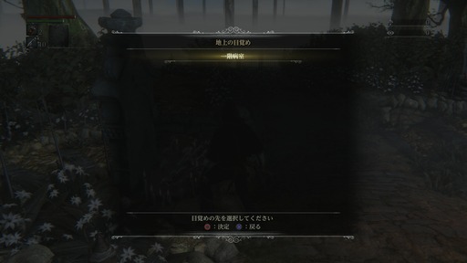 150326_Bloodborne_006