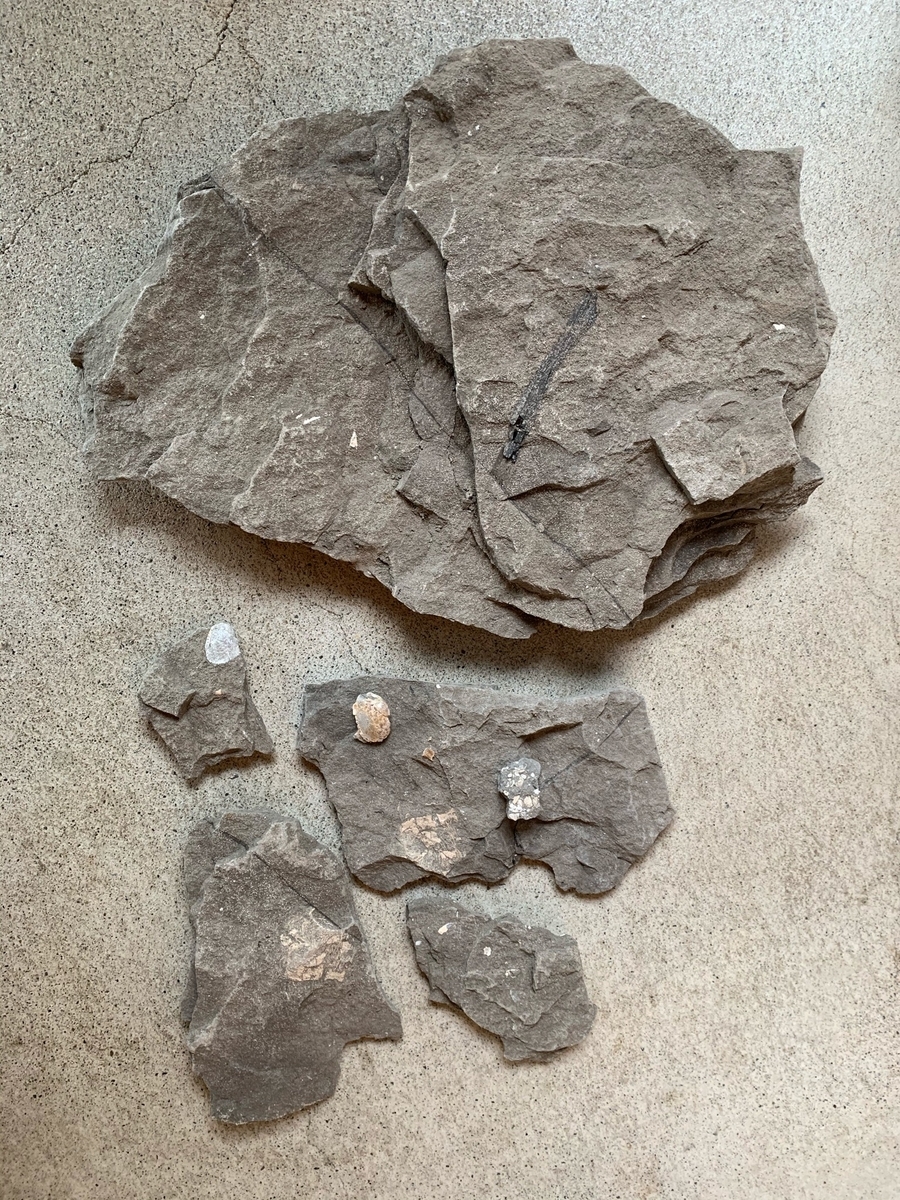 f:id:Hamazon:20220112232606j:plain