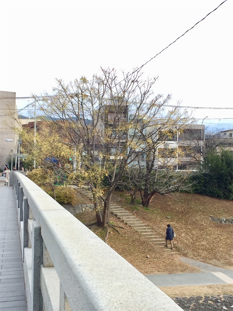 f:id:Hamori:20200104203229j:image f:id:Hamori:20200104203229j:image