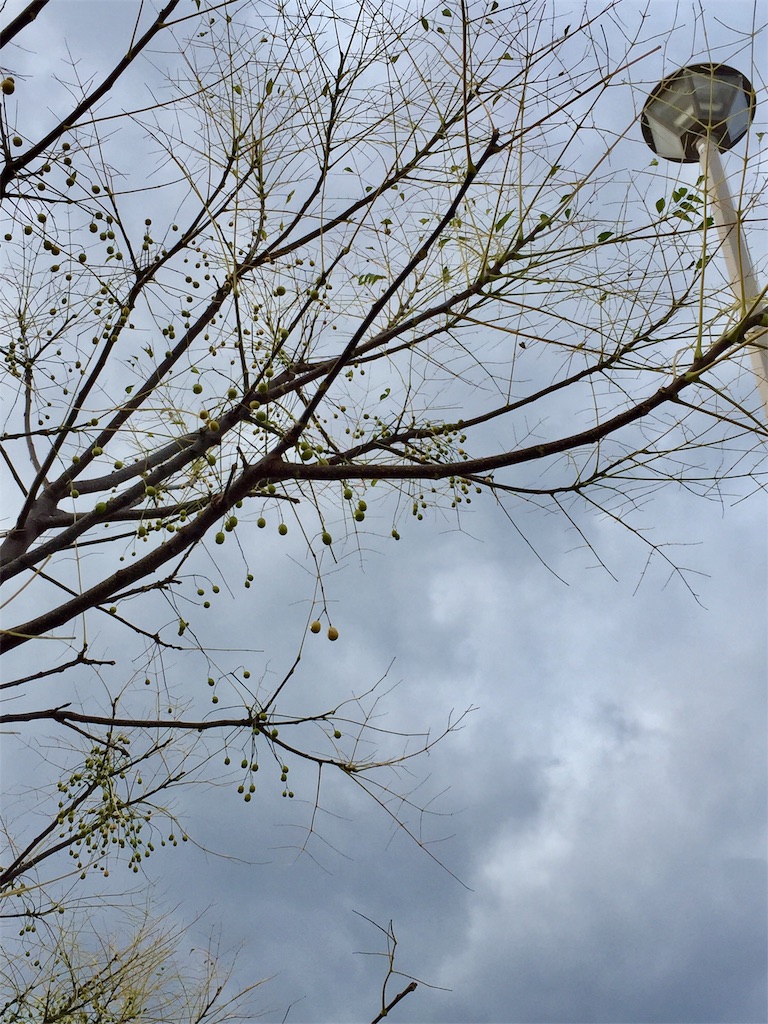 f:id:Hamori:20200104203237j:image f:id:Hamori:20200104203237j:image