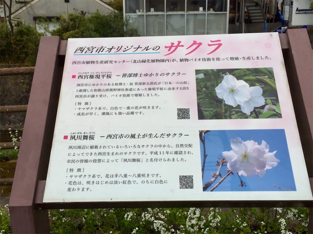 f:id:Hamori:20200401154258j:image