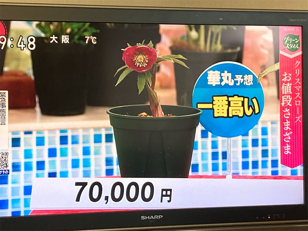 f:id:Hamori:20210130065411j:image f:id:Hamori:20210130065411j:image
