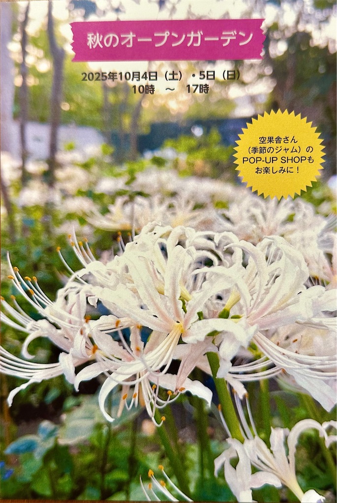 f:id:Hamori:20250905060338j:image