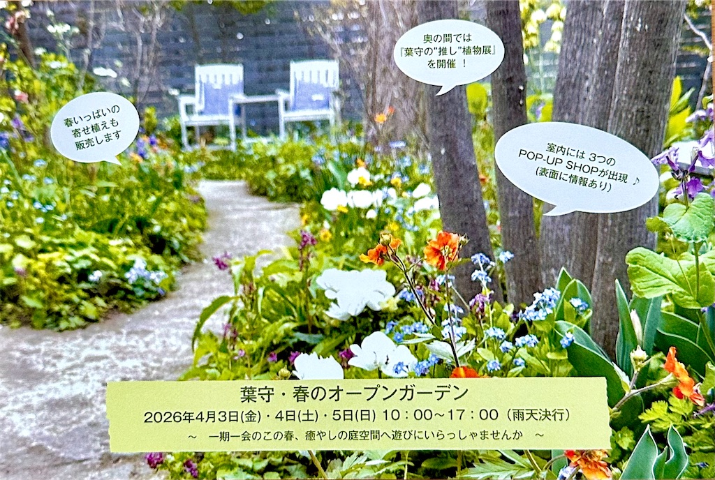 f:id:Hamori:20260226153620j:image