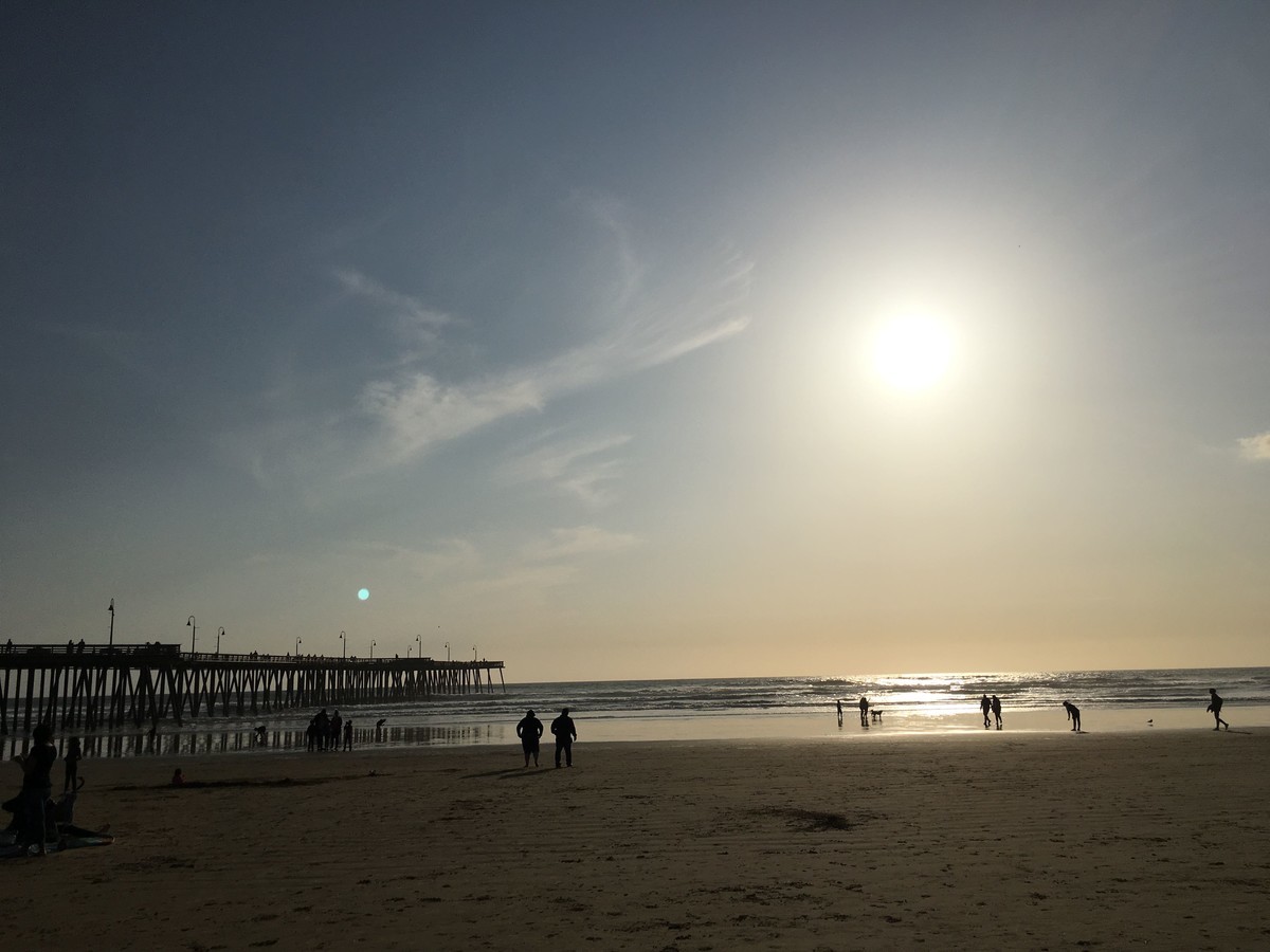 f:id:HanaCell:20190323175210j:plain