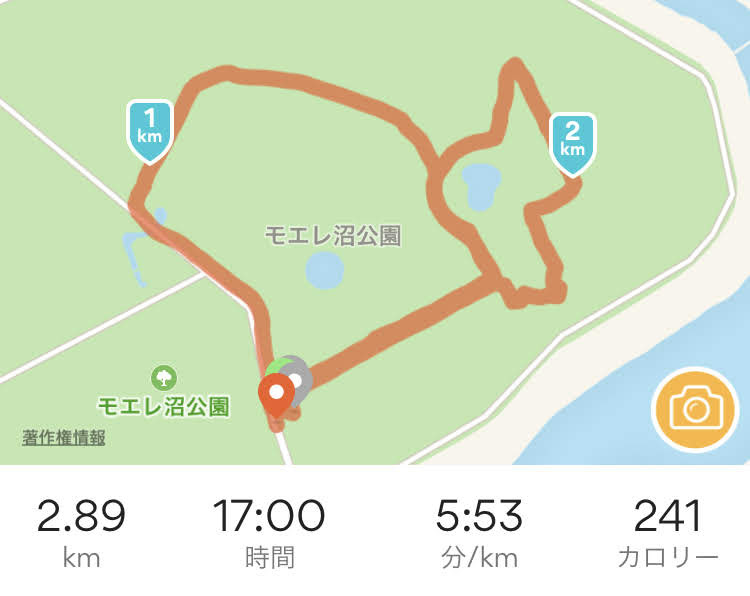 f:id:HanaPal:20190610230323j:plain f:id:HanaPal:20190610230323j:plain