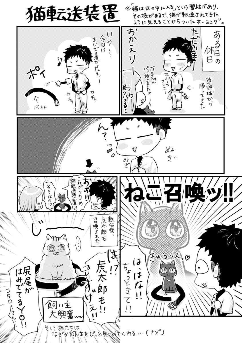 f:id:Hana_9955:20200721235138p:plain