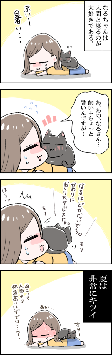 f:id:Hana_9955:20200806130023p:plain