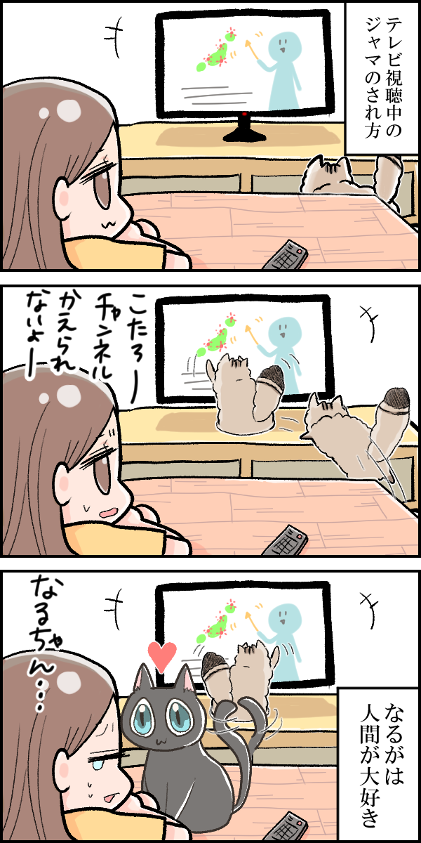 f:id:Hana_9955:20200820202540p:plain