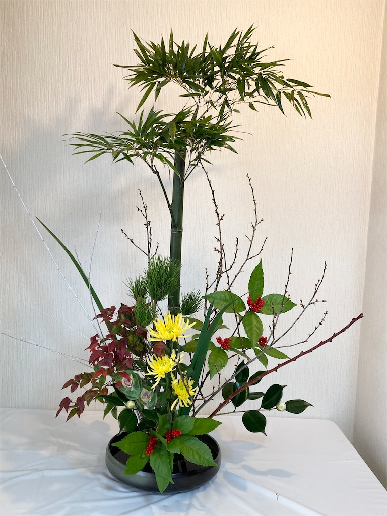 f:id:Hanagatariyuukari:20250111052348j:image