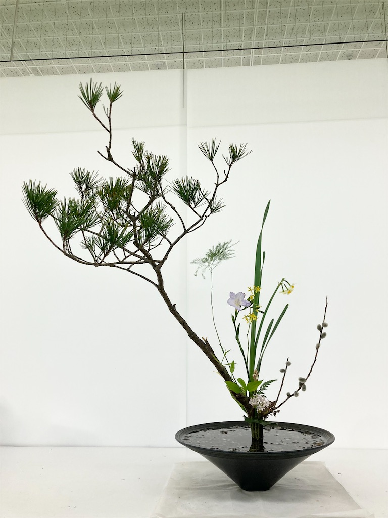 f:id:Hanagatariyuukari:20250214023148j:image