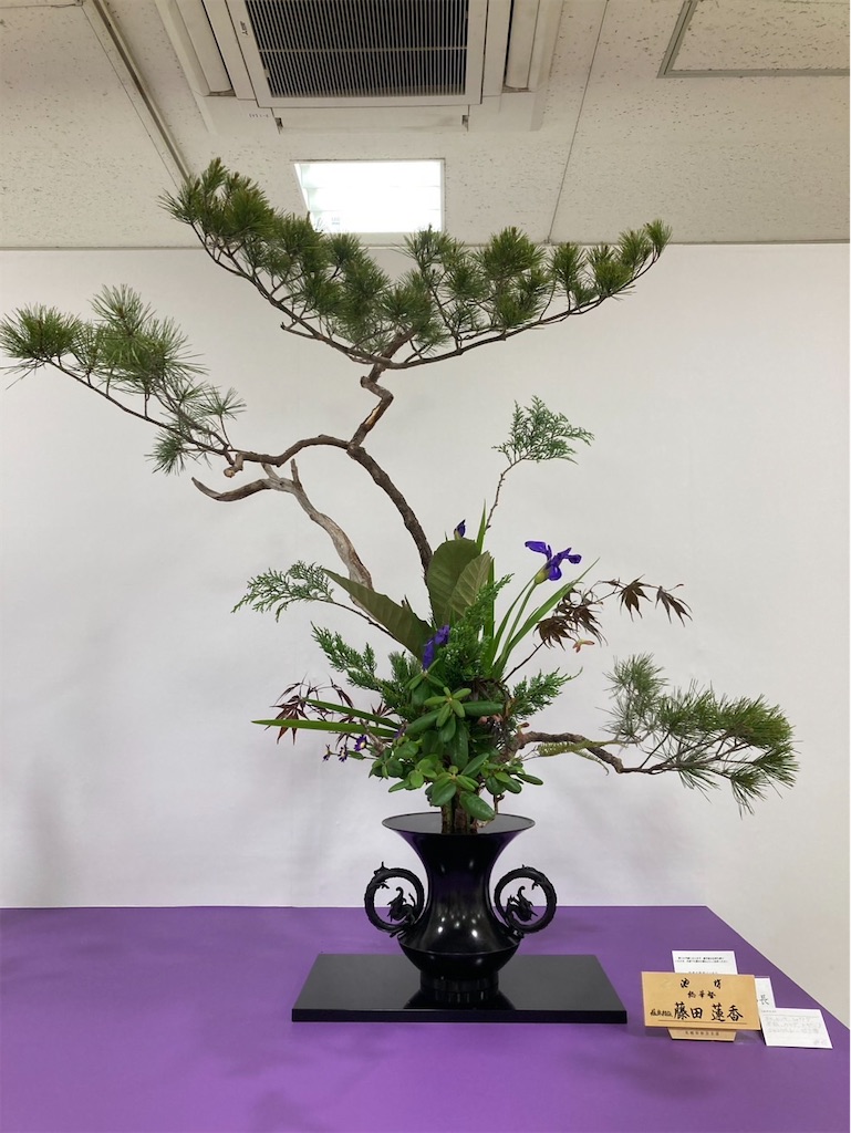 f:id:Hanagatariyuukari:20250611080719j:image