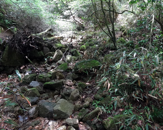 f:id:Hanamaru:20160608120044j:plain f:id:Hanamaru:20160608120044j:plain