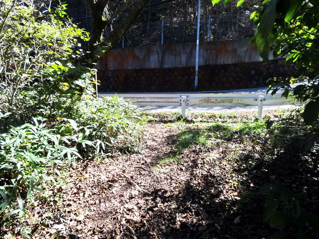 f:id:Hanamaru:20161102115533j:plain f:id:Hanamaru:20161102115533j:plain