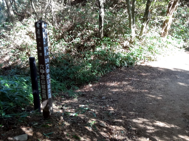 f:id:Hanamaru:20161102123011j:plain f:id:Hanamaru:20161102123011j:plain