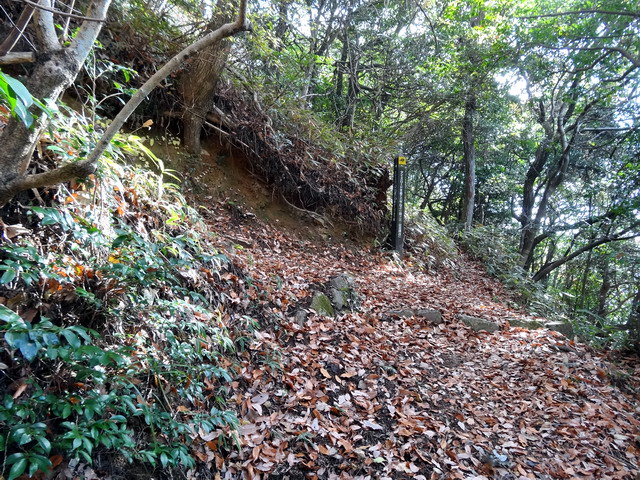 f:id:Hanamaru:20161208115714j:plain