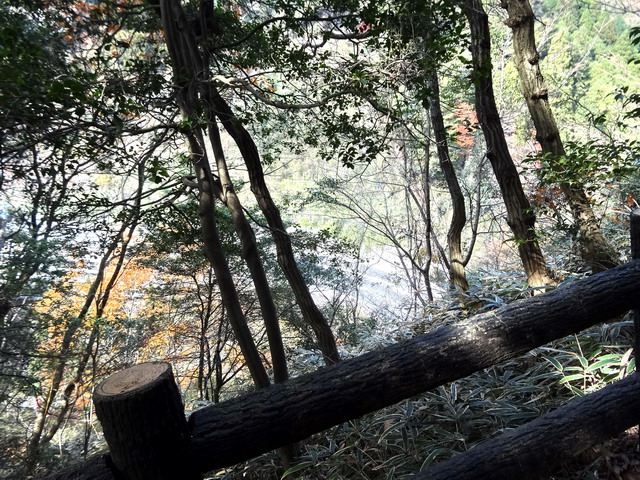 f:id:Hanamaru:20161208115816j:plain