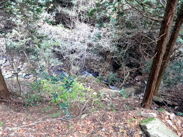 f:id:Hanamaru:20161208124408j:plain