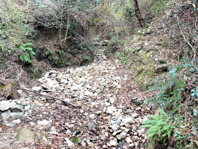 f:id:Hanamaru:20161208125003j:plain