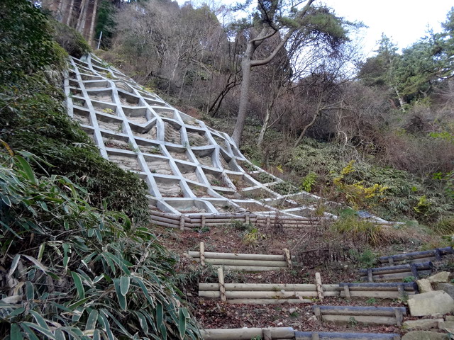 f:id:Hanamaru:20161208130128j:plain