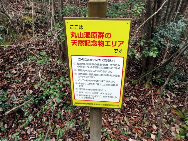 f:id:Hanamaru:20161229123621j:plain f:id:Hanamaru:20161229123621j:plain