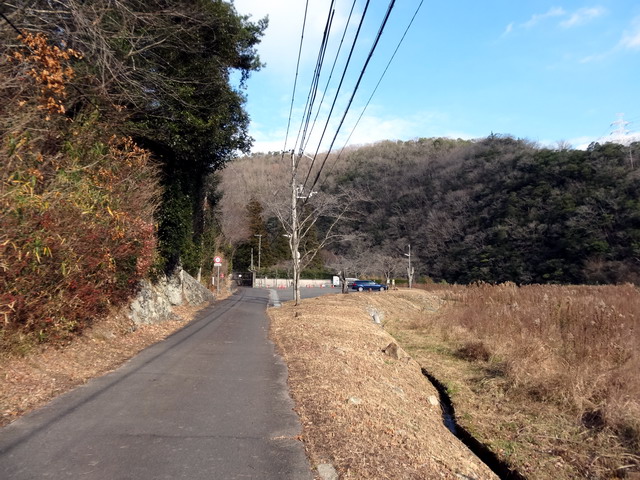 f:id:Hanamaru:20161229134942j:plain