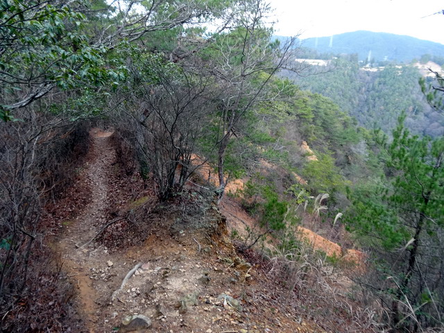 f:id:Hanamaru:20170103120954j:plain f:id:Hanamaru:20170103120954j:plain