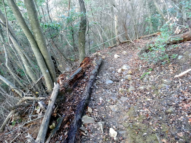 f:id:Hanamaru:20170103123855j:plain f:id:Hanamaru:20170103123855j:plain