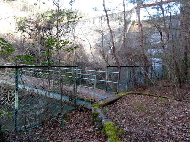 f:id:Hanamaru:20170103124000j:plain f:id:Hanamaru:20170103124000j:plain