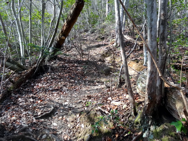 f:id:Hanamaru:20170103124820j:plain f:id:Hanamaru:20170103124820j:plain