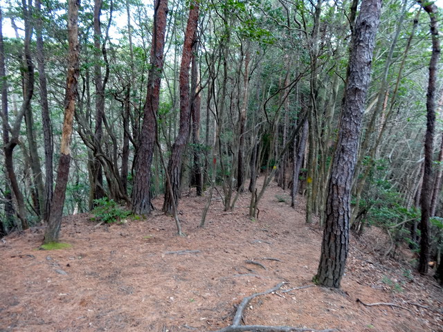 f:id:Hanamaru:20170103130226j:plain f:id:Hanamaru:20170103130226j:plain