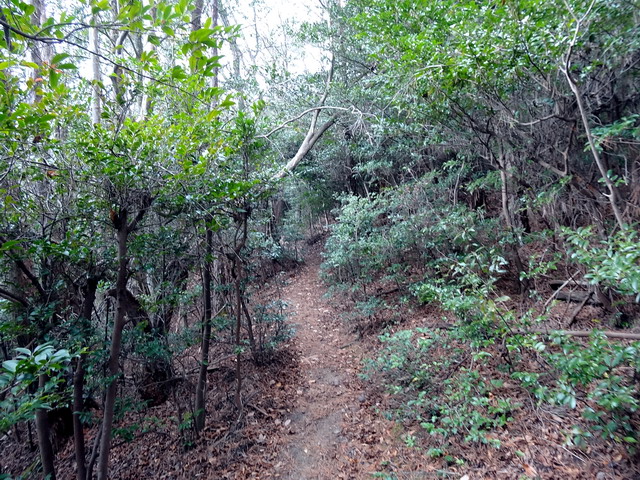 f:id:Hanamaru:20170103131009j:plain f:id:Hanamaru:20170103131009j:plain