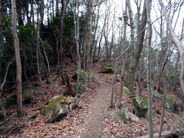 f:id:Hanamaru:20170103132312j:plain f:id:Hanamaru:20170103132312j:plain