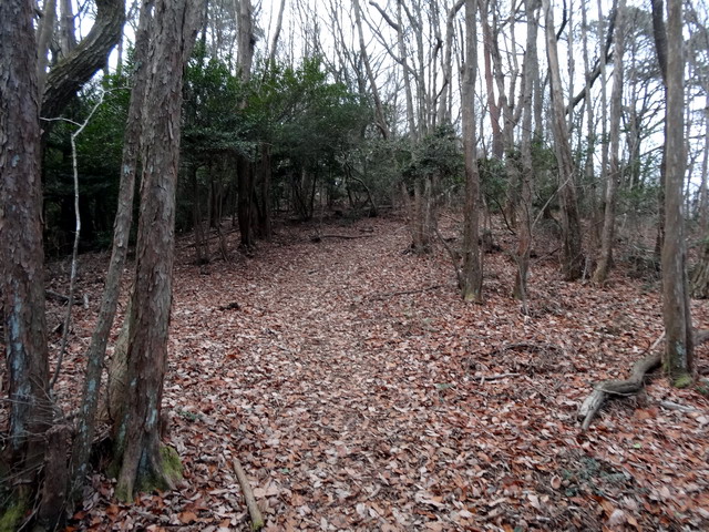 f:id:Hanamaru:20170103132514j:plain f:id:Hanamaru:20170103132514j:plain