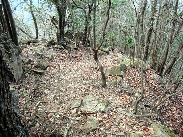 f:id:Hanamaru:20170103134926j:plain f:id:Hanamaru:20170103134926j:plain