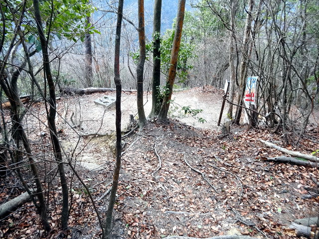 f:id:Hanamaru:20170103135556j:plain f:id:Hanamaru:20170103135556j:plain