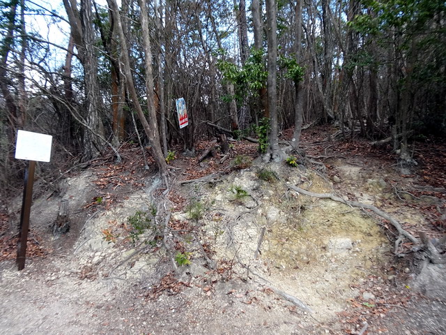 f:id:Hanamaru:20170103135622j:plain f:id:Hanamaru:20170103135622j:plain