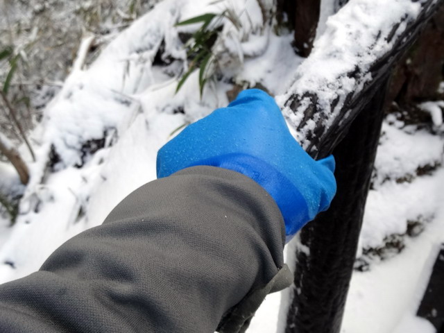 f:id:Hanamaru:20170121123544j:plain