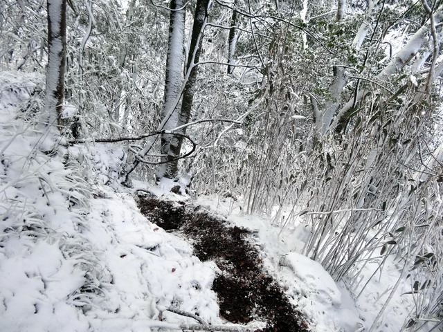 f:id:Hanamaru:20170121124551j:plain