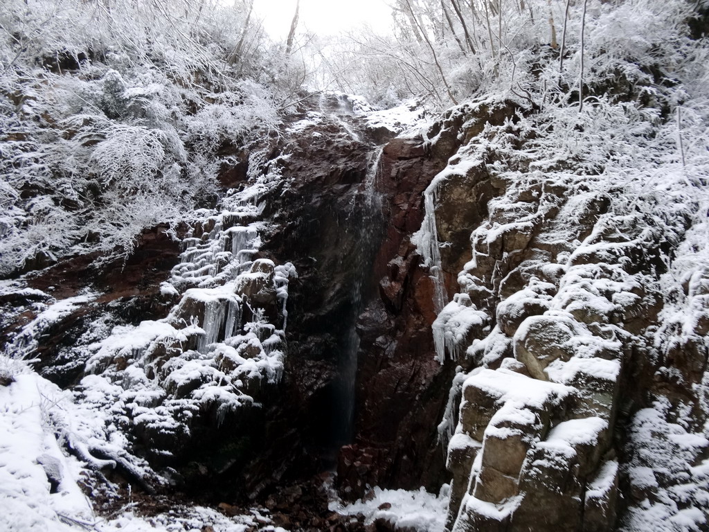 f:id:Hanamaru:20170121125129j:plain