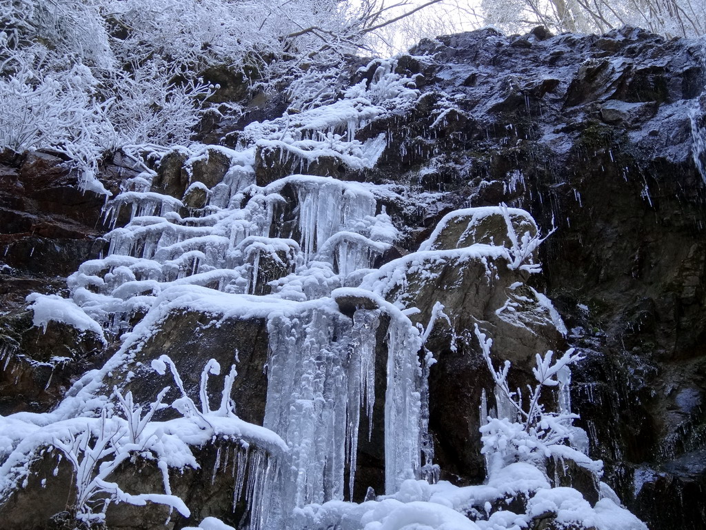 f:id:Hanamaru:20170121125253j:plain