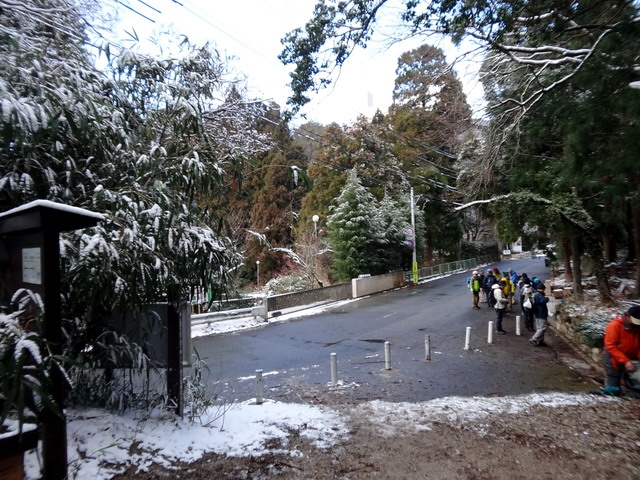 f:id:Hanamaru:20170121141342j:plain