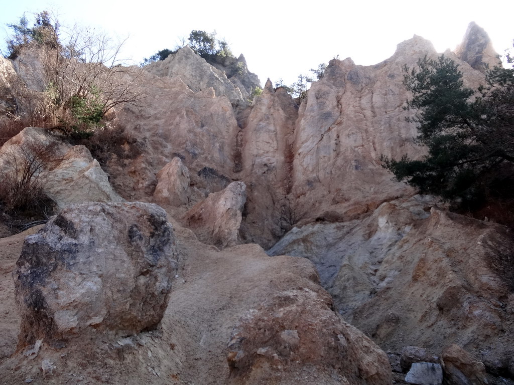 f:id:Hanamaru:20170128120751j:plain f:id:Hanamaru:20170128120751j:plain