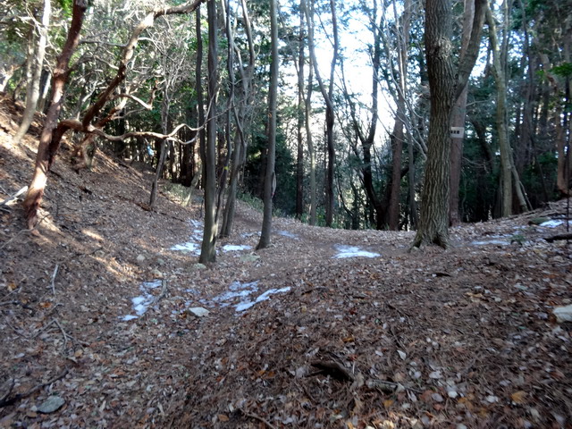 f:id:Hanamaru:20170128142248j:plain