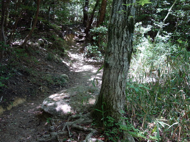 f:id:Hanamaru:20170518120904j:plain f:id:Hanamaru:20170518120904j:plain